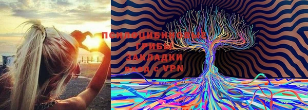 сатива Арсеньев