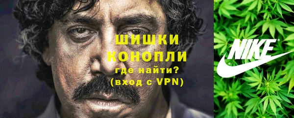 сатива Арсеньев