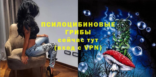 дмт Армянск